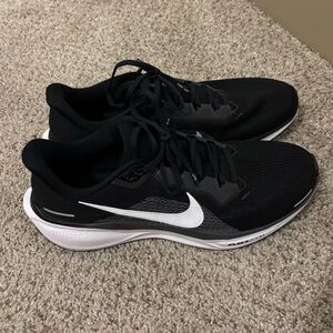 men’s nike pegasus 41